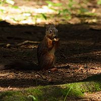 2012-06-16 12-41-04