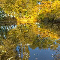 2013-10-24 17-24-07 hdr