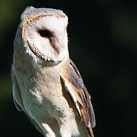 2011-09-26 15-21-50