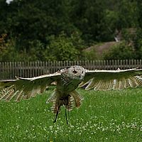 2012-07-08 11-03-16