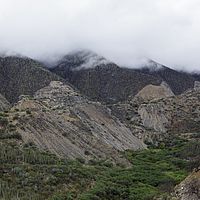 2017-05-31 08-49-38
