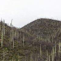 2017-05-31 08-50-47