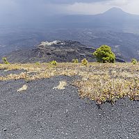 2017-06-03 13-02-10