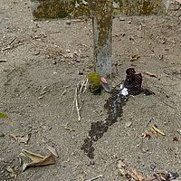 2017-06-06 19-41-19