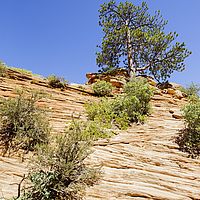 2017-06-15 15-08-36