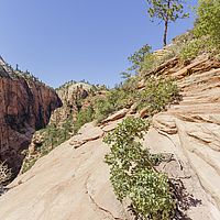 2017-06-15 15-08-49