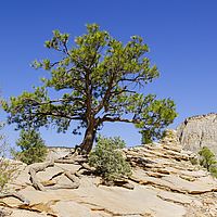 2017-06-15 16-02-36