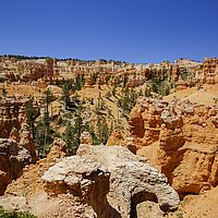 2017-06-16 11-25-38