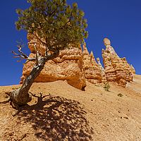 2017-06-16 11-26-51