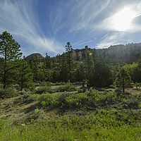 2017-06-17 07-30-33