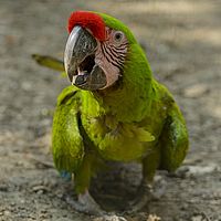 2017-04-29 14-31-08-2