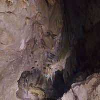 2017-05-15 12-50-19