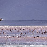 2017-02-02 17-00-34