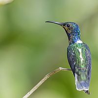 2017-05-15 16-21-32