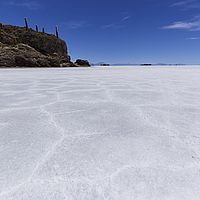 2017-02-04 13-42-54