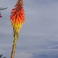 2017-02-10 16-52-27