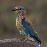 2016-05-09 17-42-19