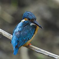 2016-05-10 06-23-49