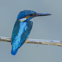 2016-05-10 09-42-42