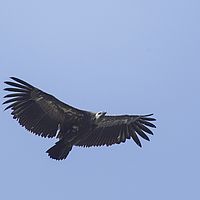 2016-05-11 09-17-57-2