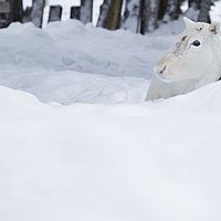 2016-02-09 12-45-22
