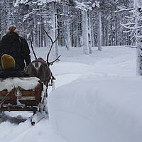 2016-02-09 13-08-44
