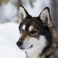 2016-02-10 10-21-07-3