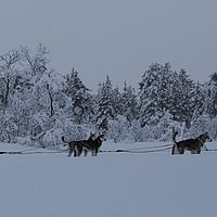 2016-02-10 11-20-28