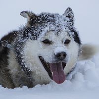 2016-02-10 11-26-49