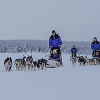 2016-02-10 11-34-22
