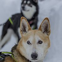 2016-02-10 12-27-42