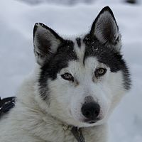 2016-02-10 12-29-02