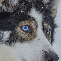 2016-02-10 12-29-55