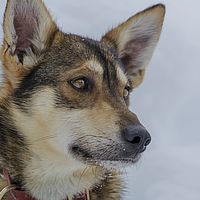 2016-02-10 12-30-08