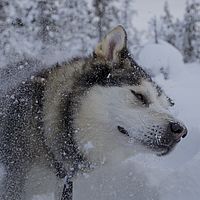 2016-02-10 13-33-28