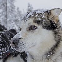 2016-02-10 13-34-03