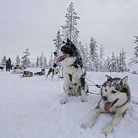 2016-02-10 13-34-41