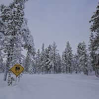 2016-02-10 13-36-33
