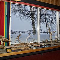 2016-02-11 13-25-41