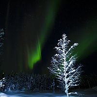 2016-02-11 22-42-18