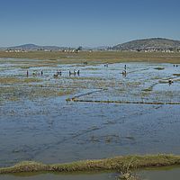 2015-04-08 09-14-11