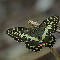 2015-04-08 16-51-26