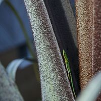 2015-04-08 17-15-18