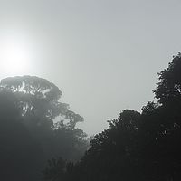 2015-04-09 07-31-24