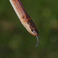 2015-04-09 08-24-36