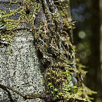 2015-04-09 11-32-10