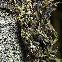 2015-04-09 11-34-08