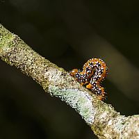2015-04-09 11-37-52