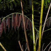 2015-04-09 11-41-34