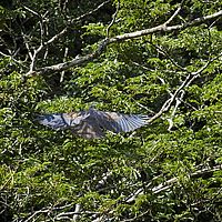 2015-04-09 13-31-51-7